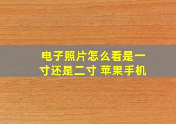 电子照片怎么看是一寸还是二寸 苹果手机